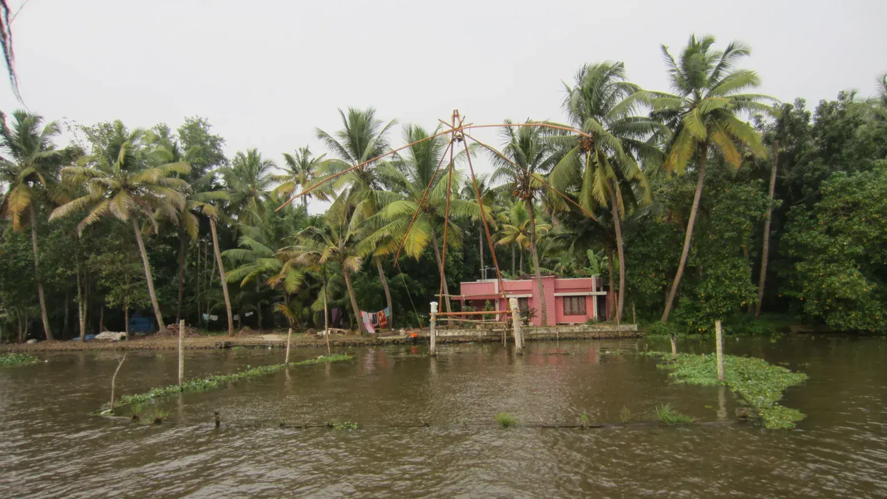 Alappuzha, Kerala, India - panoramio (3)