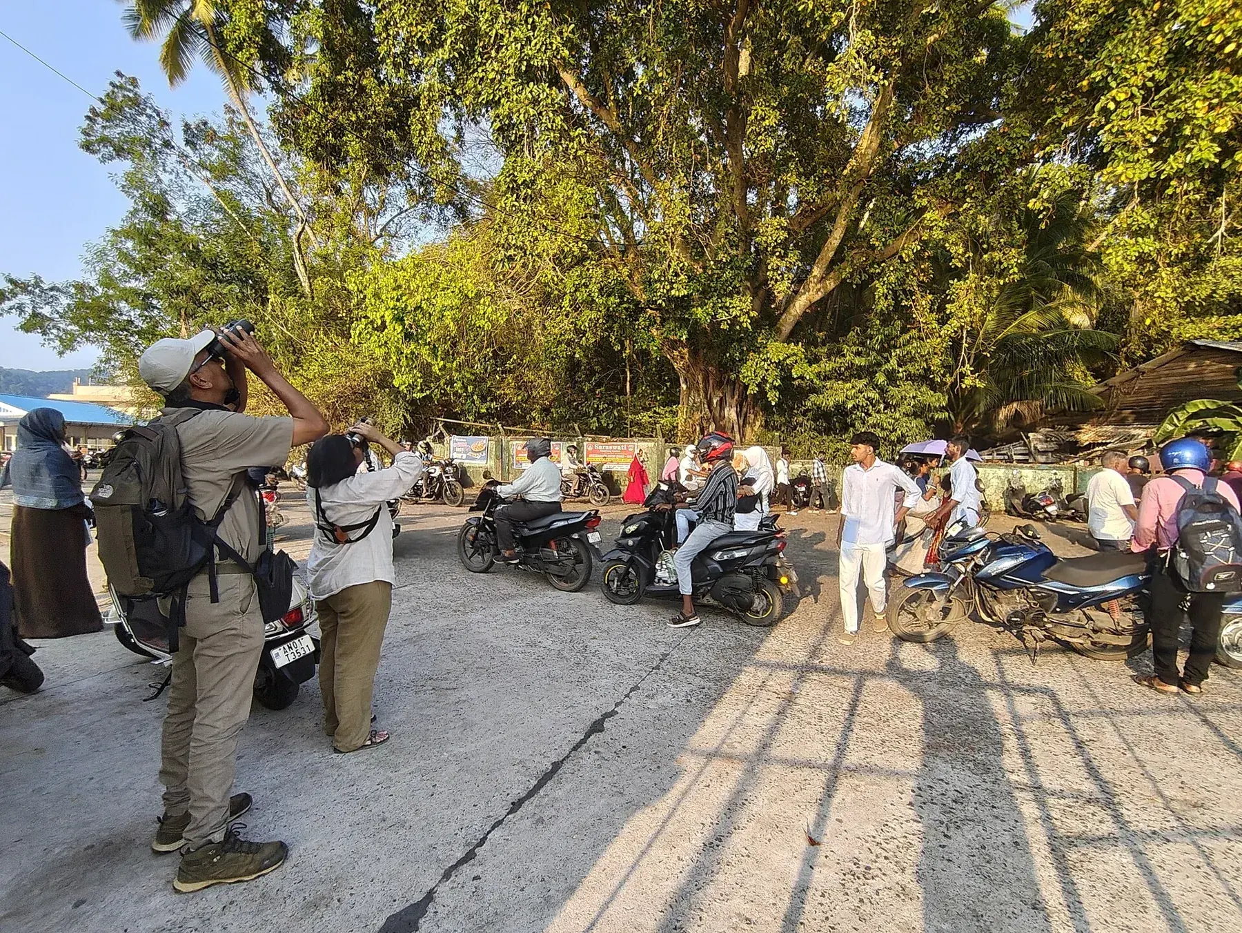 Birdwatchers watching Pied Imperial Pigeon at Chatham Jetty, Port Blair