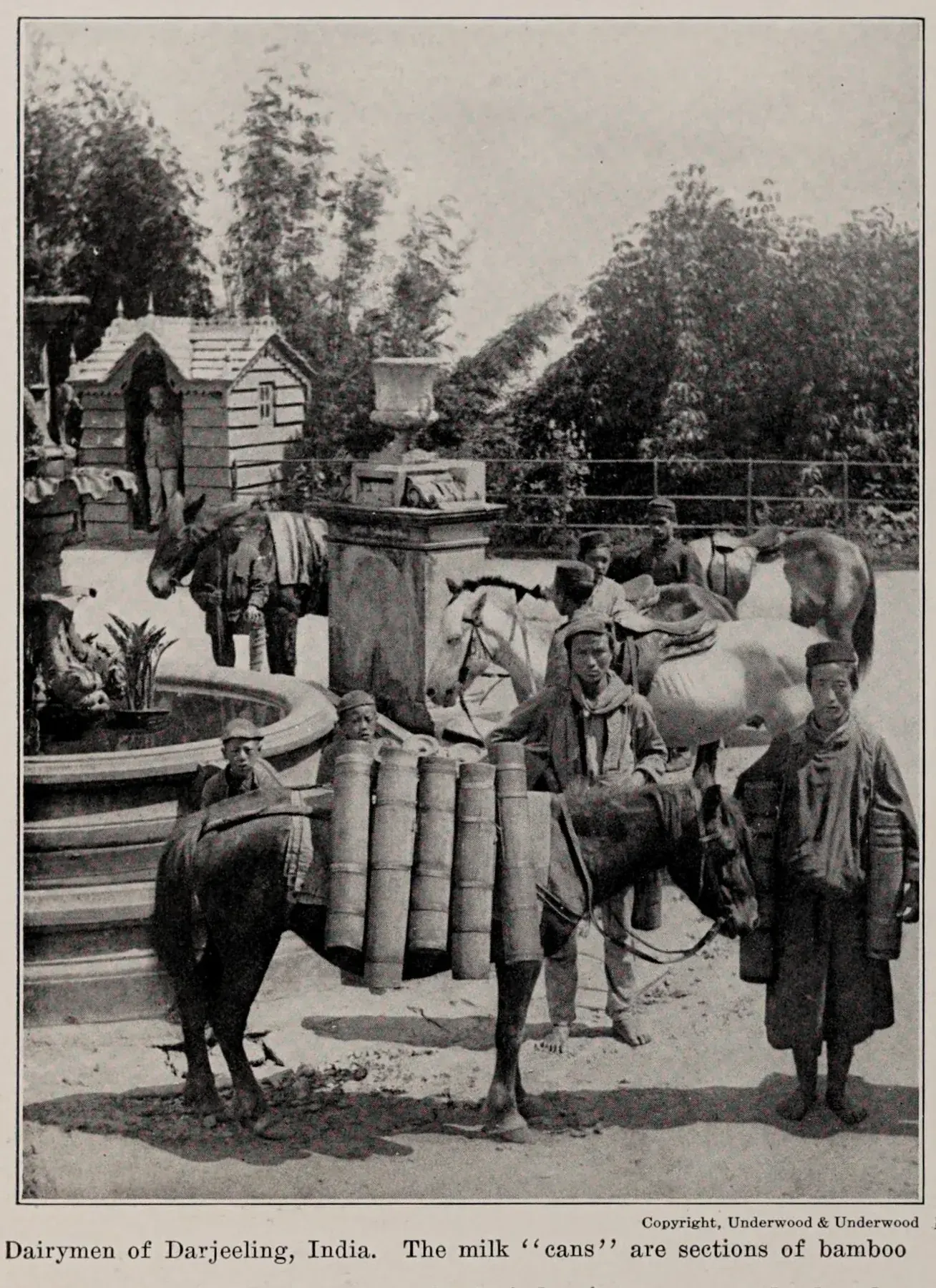 Dairymen of Darjeeling, India, photo from The Encyclopedia of Food by Artemas Ward
