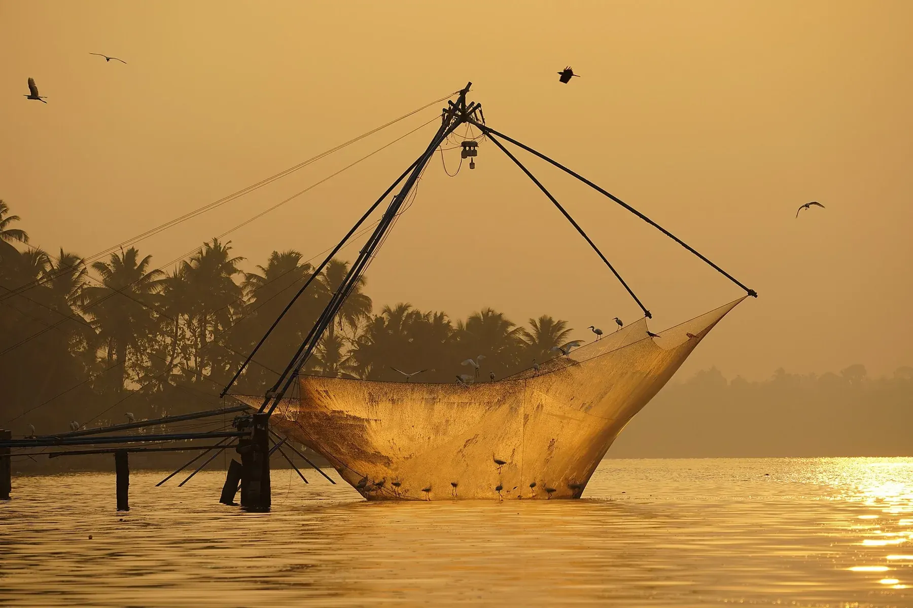 Kochi travel photography