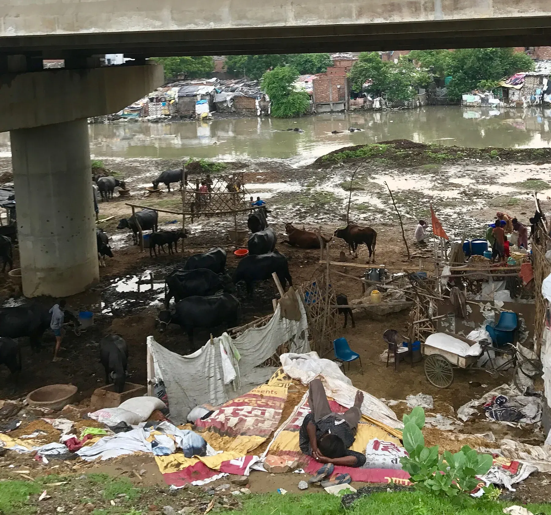 Homeless Man in India sleeping on blanket under a bridge