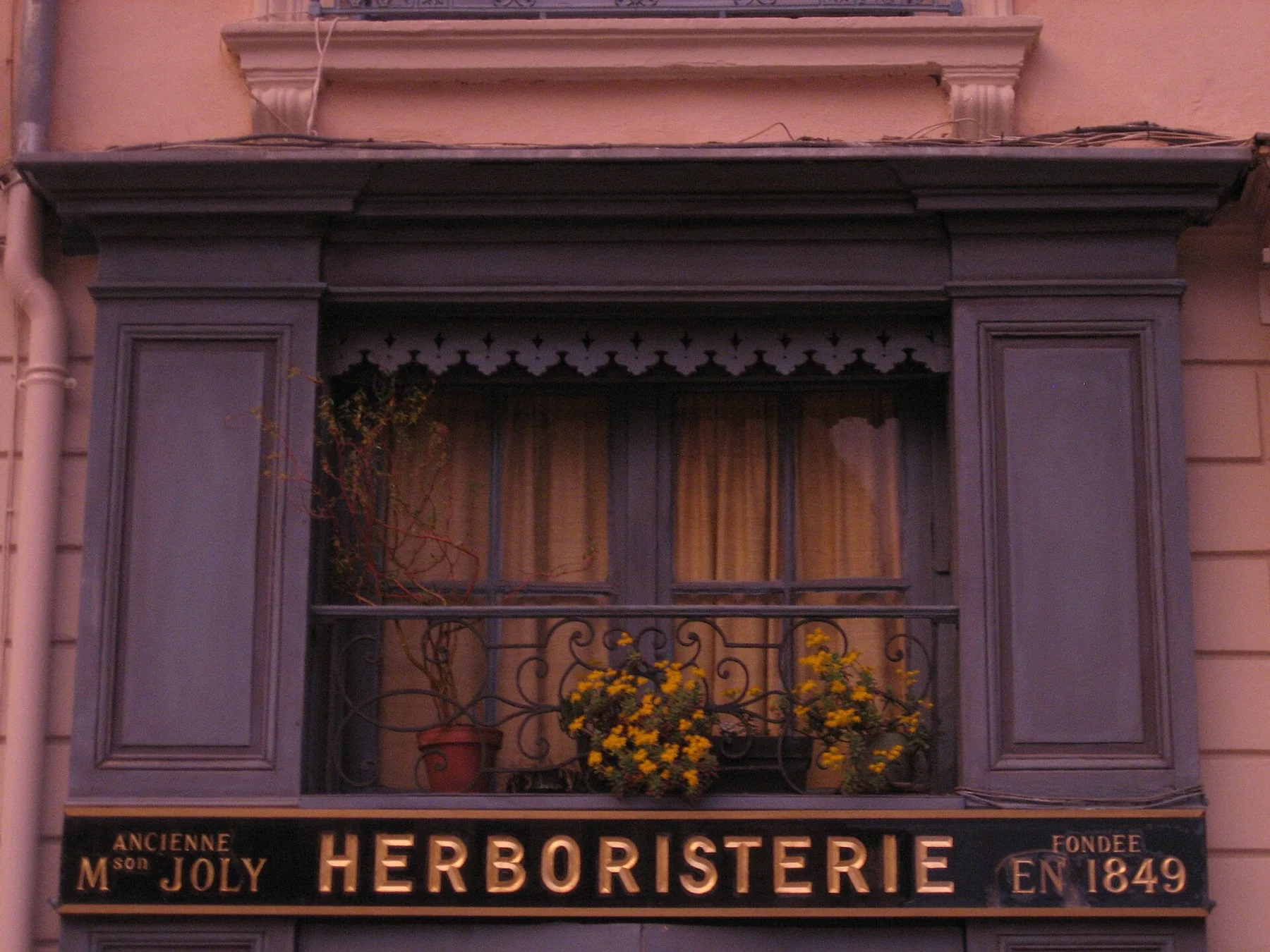 Ancienne Herboristerie, Lyon F