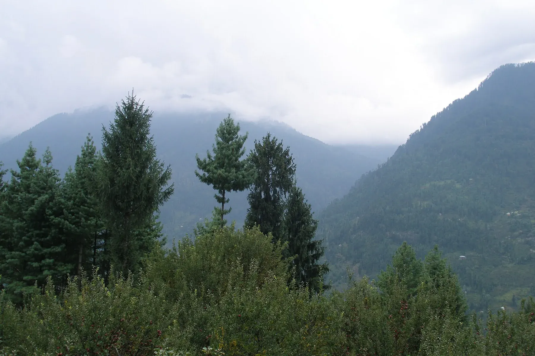 Manali travel photography