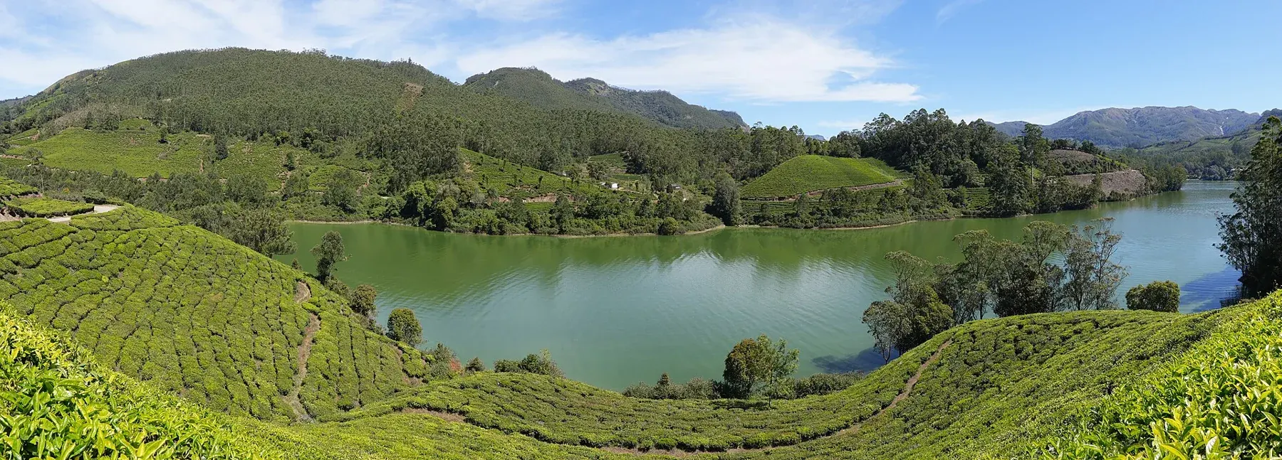 Mattupetty Lake View