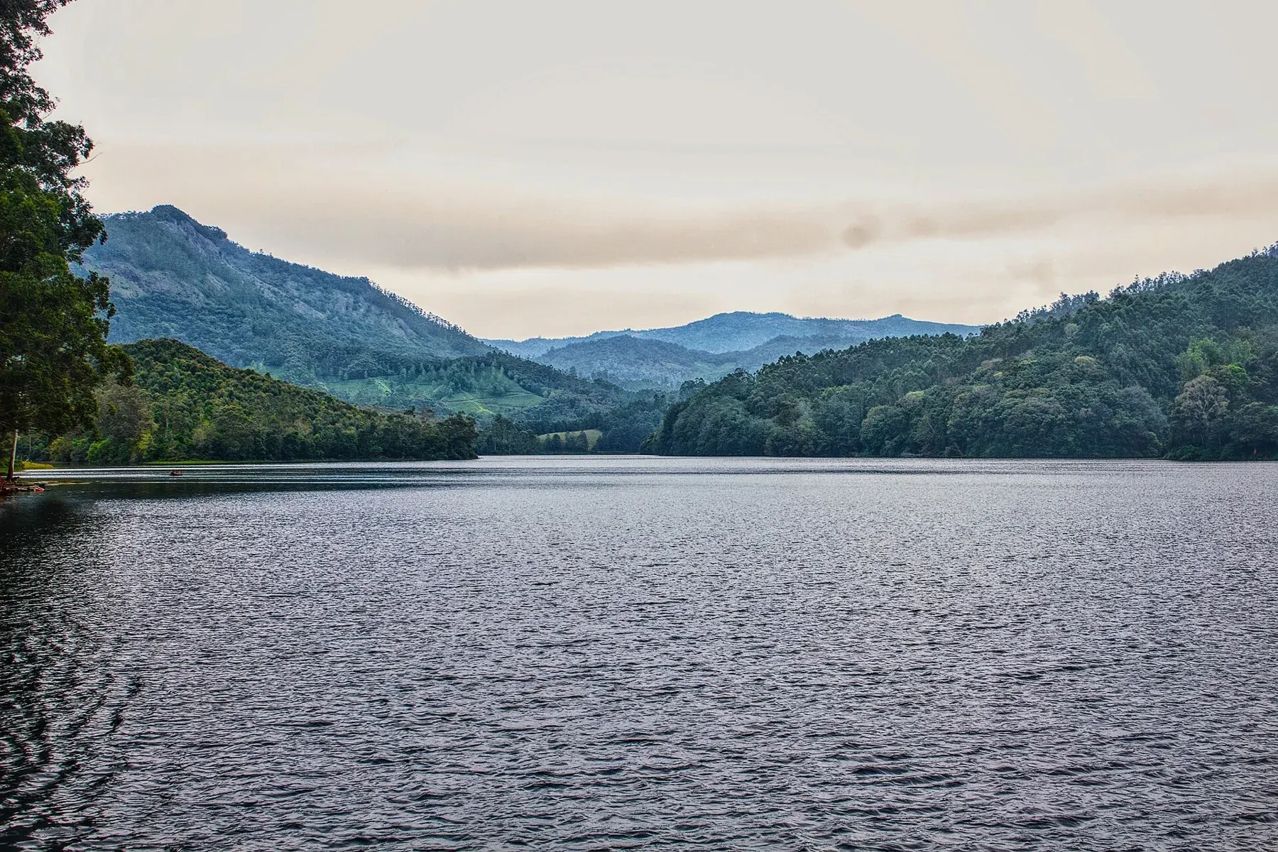 Munnar, Kerala, India (2019)