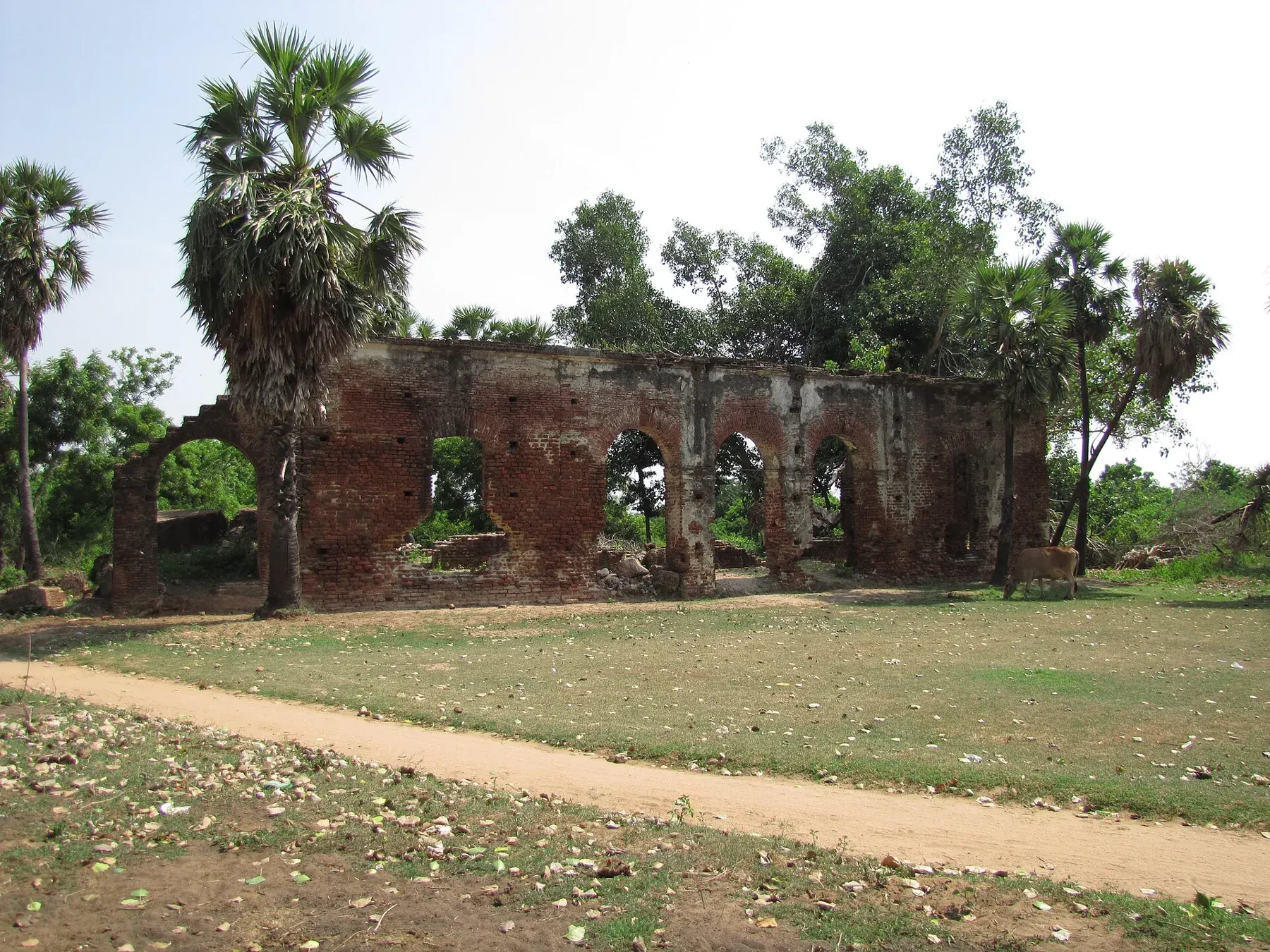 Arikamedu, Puducherry, India (4)