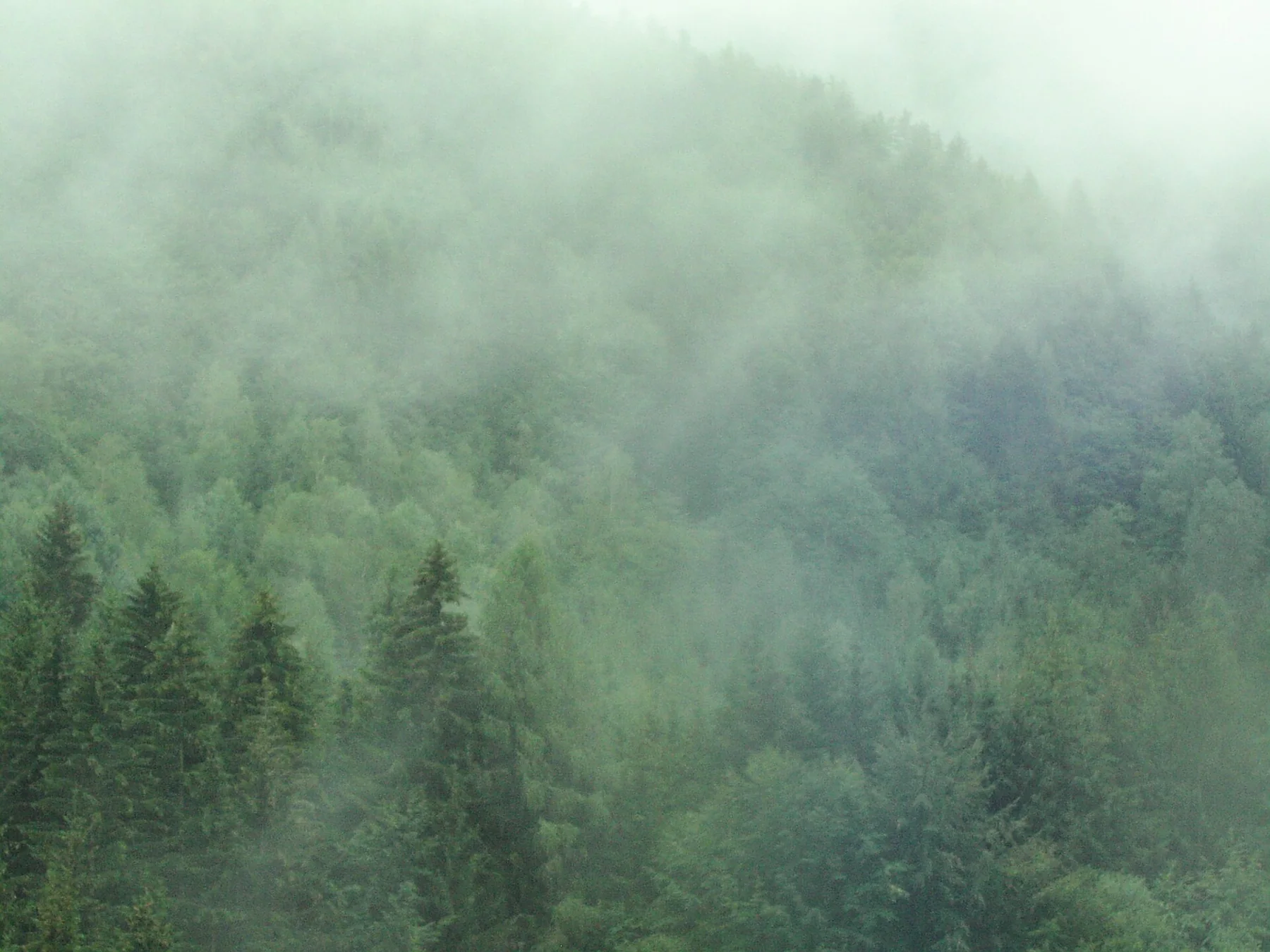 August 2006, View from train, from Zagreb to Salzburg 3