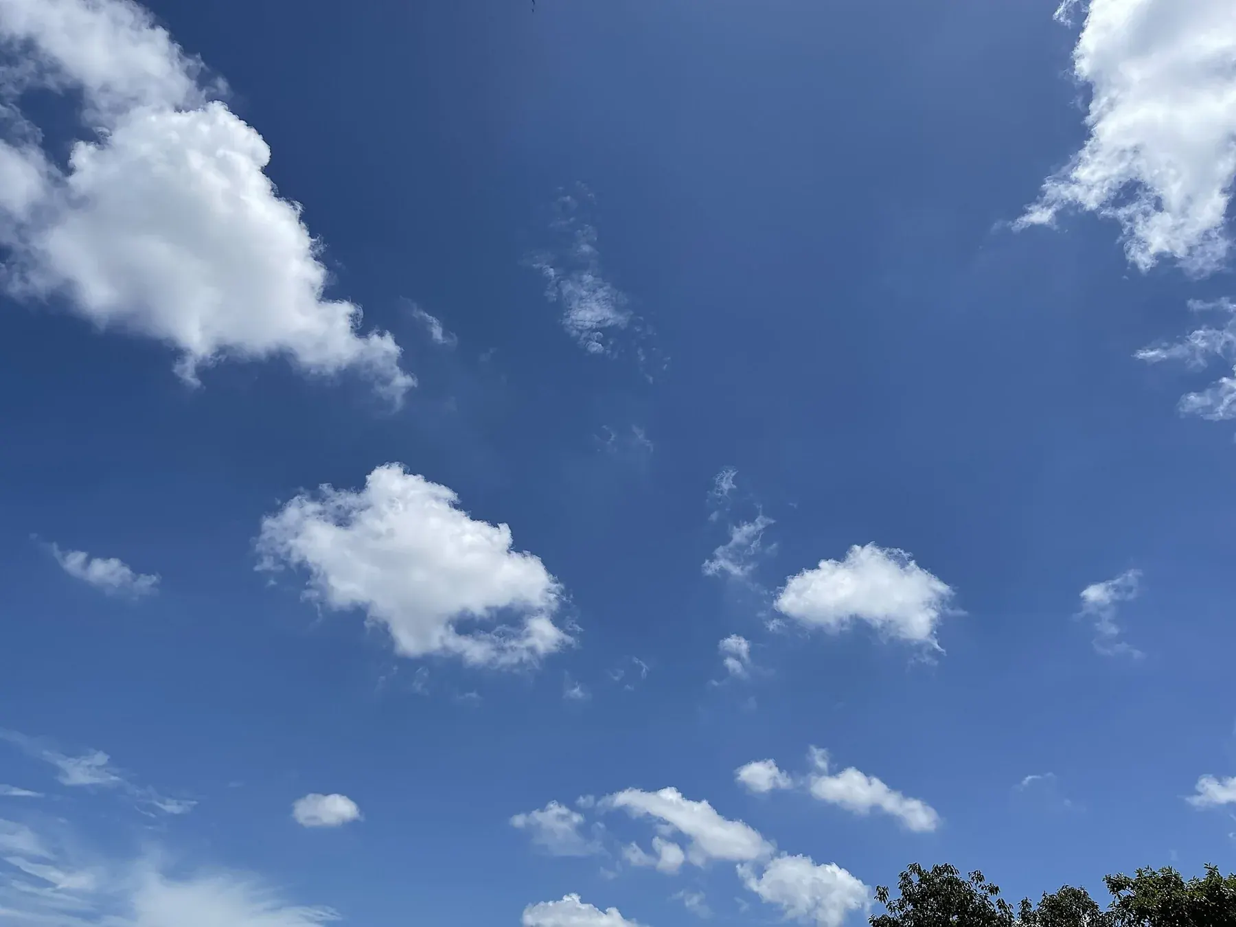Cumulus Humilis Clouds 42