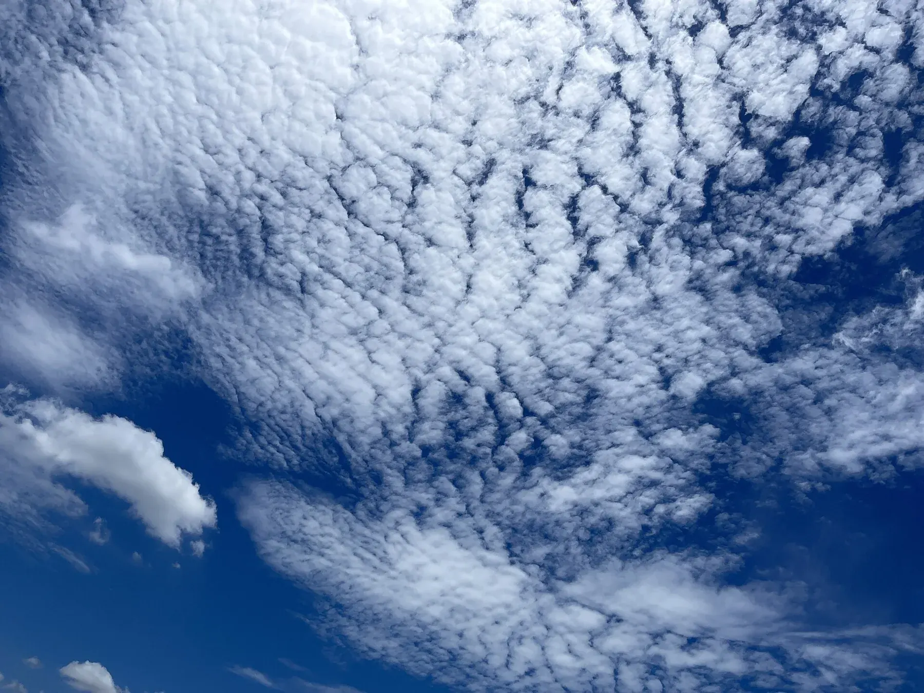 Cumulus Humilis Clouds 43