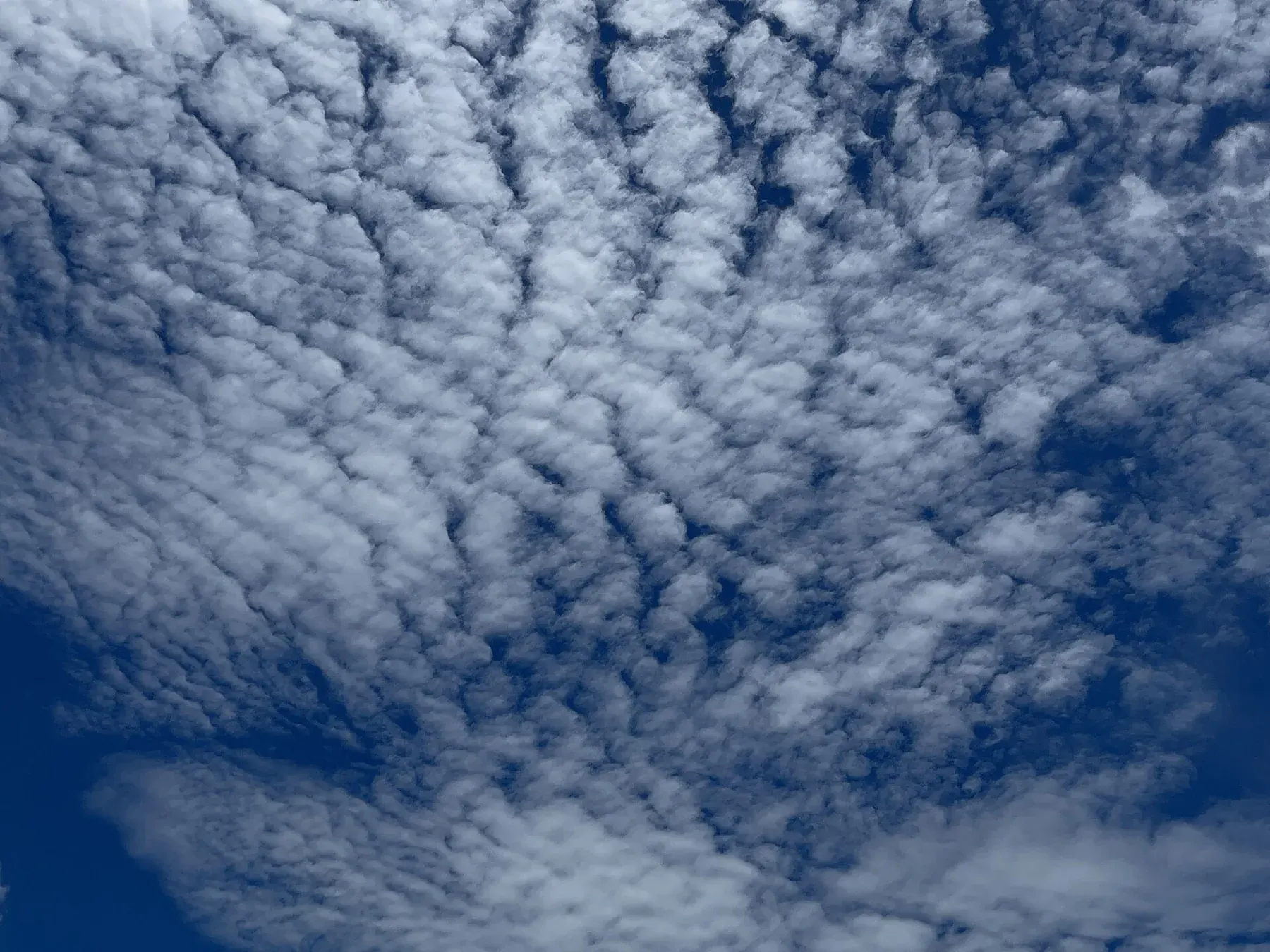 Cumulus Humilis Clouds 44