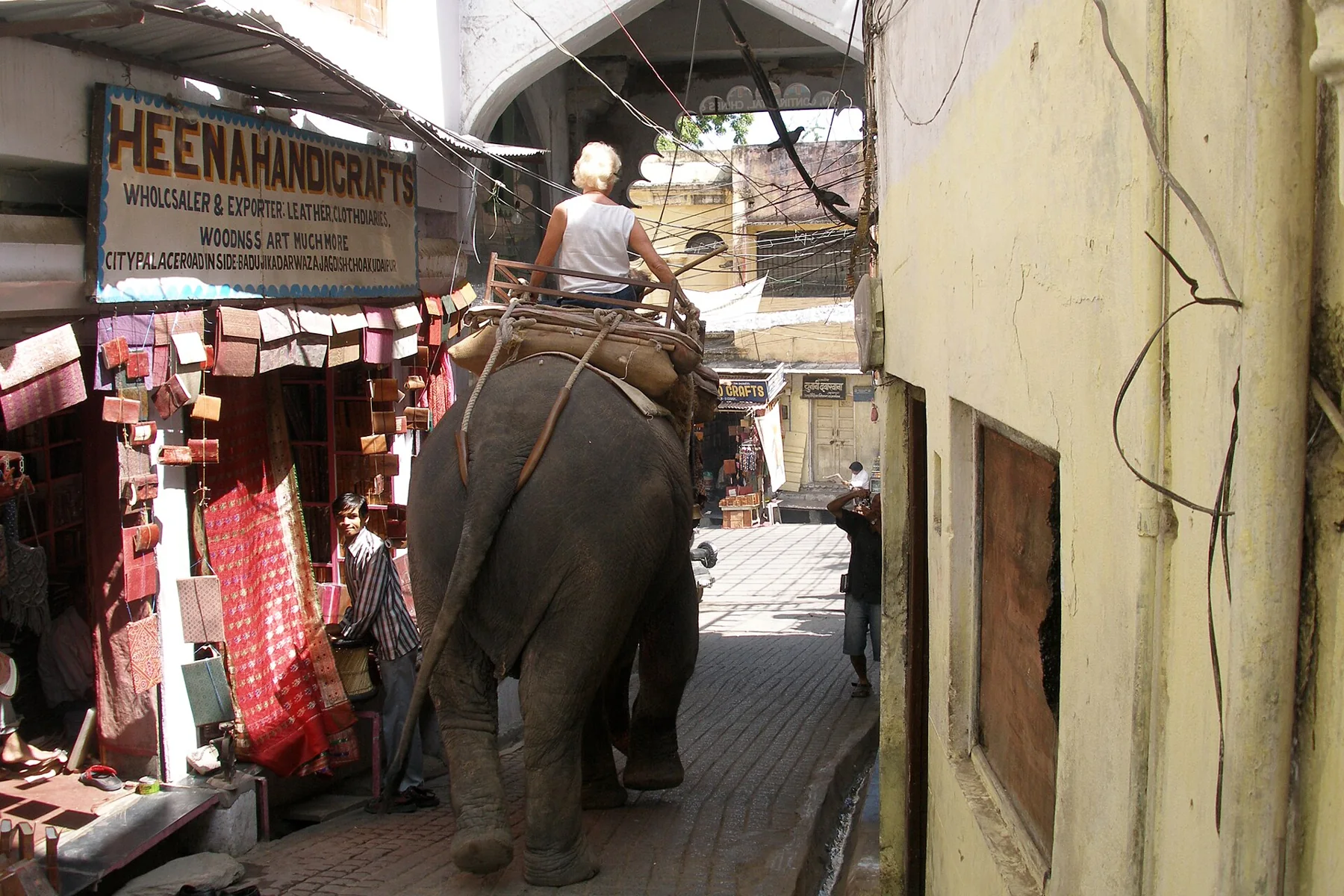 Udaipur, India, Elephant ride